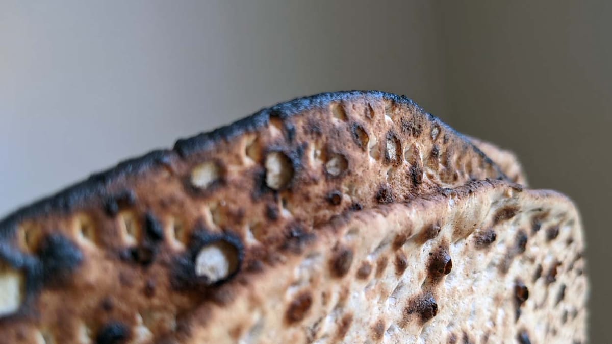 The Spirituality of Pesach and Omer Customs