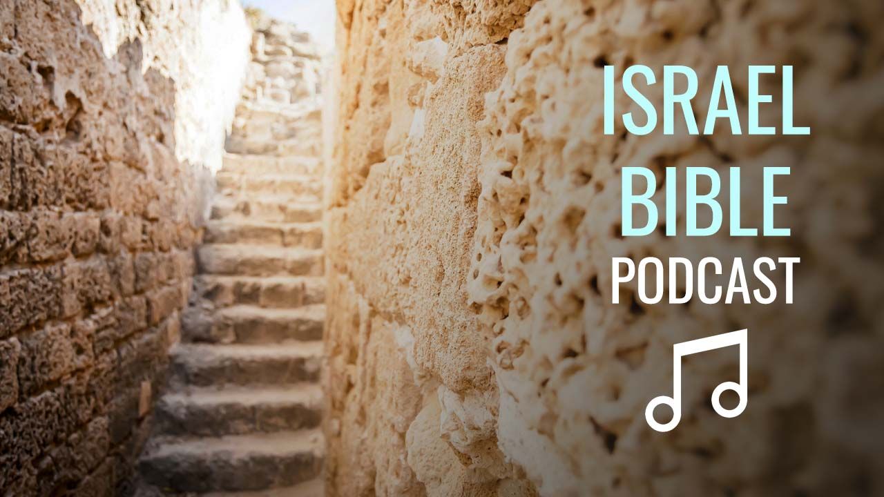 Talmud, Midrash, Halacha... Oh My!
