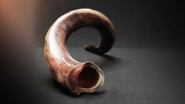 What's so Special About the Sound of Shofar?
