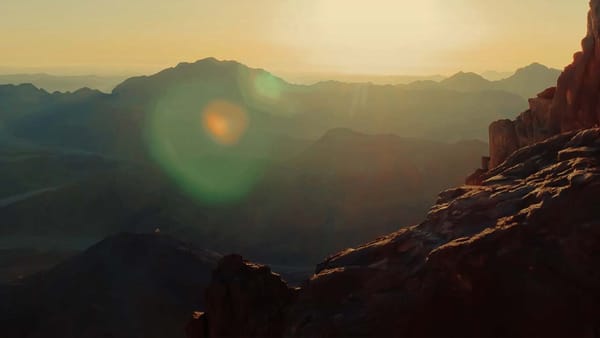 A Morning Prayer: May Your Will Always Be...